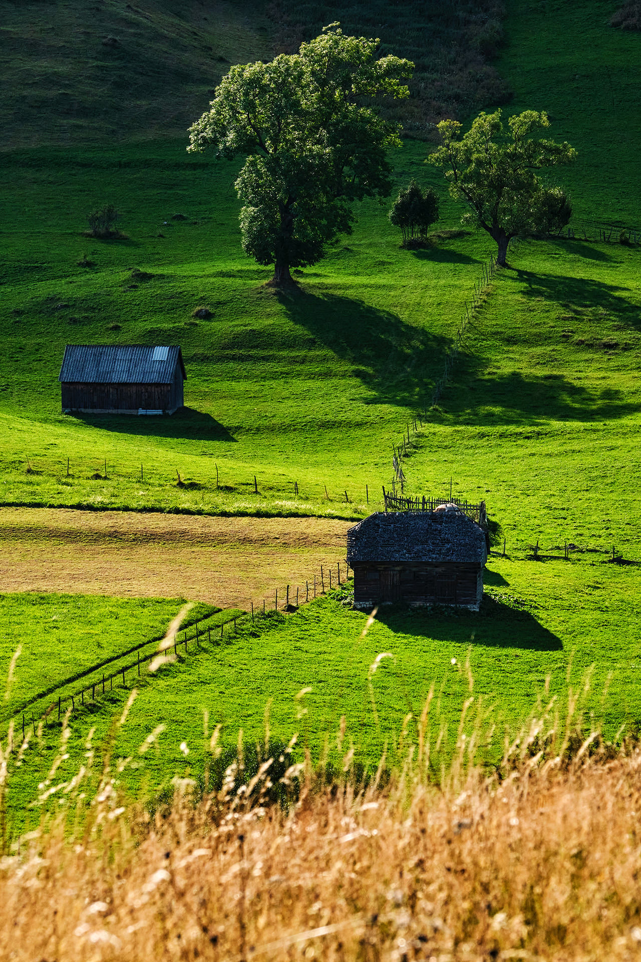 Villages of Romania - Village of Sirnea