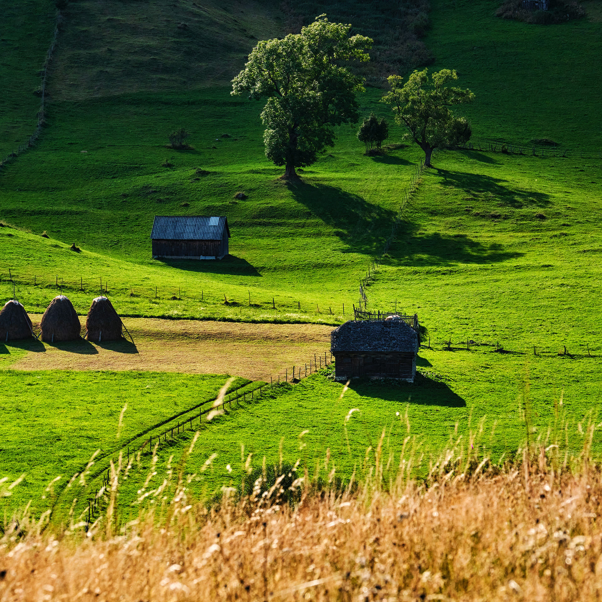 Travel and Landscape Photography 002