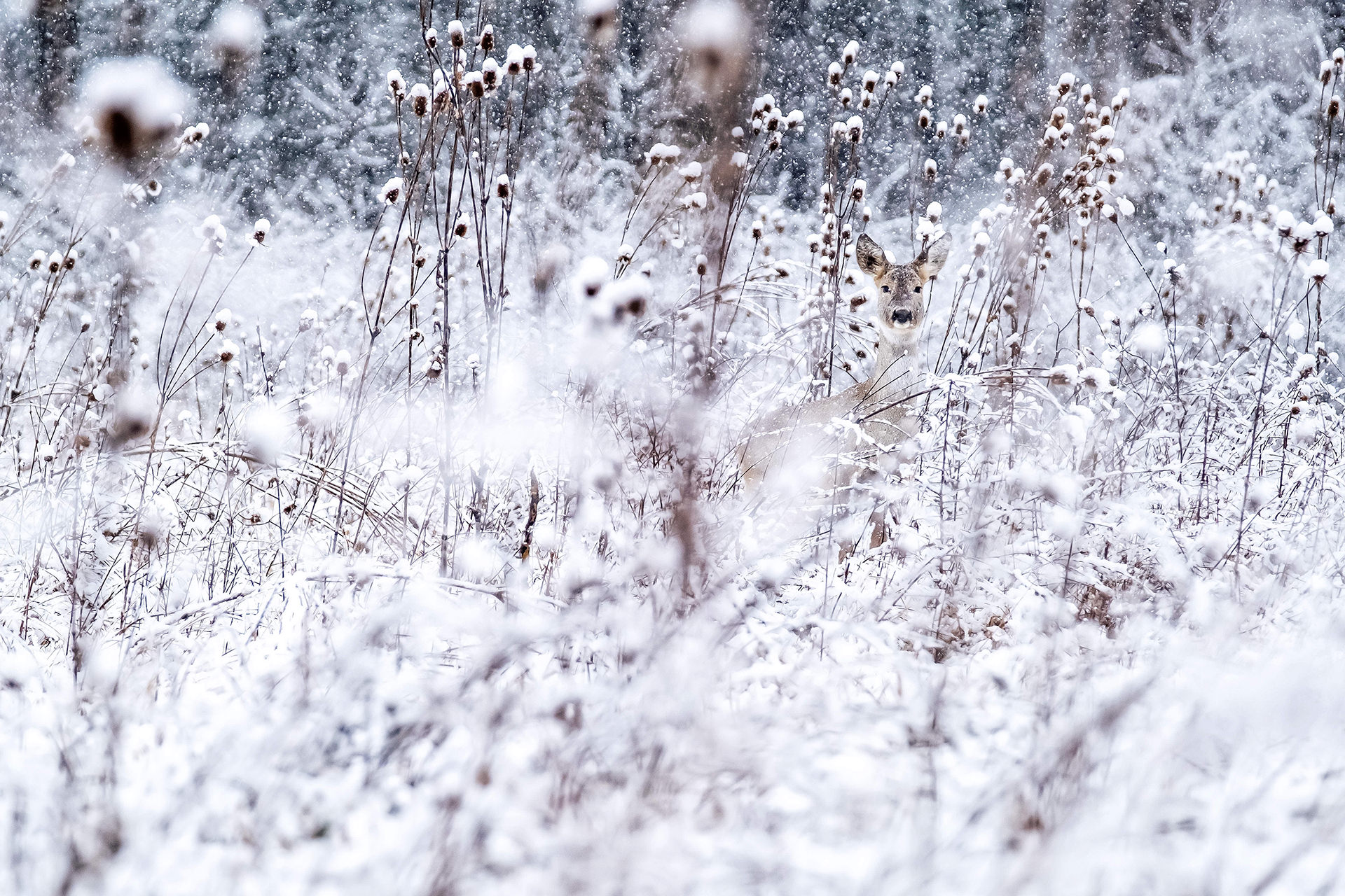 Travel and Landscape Photography 011