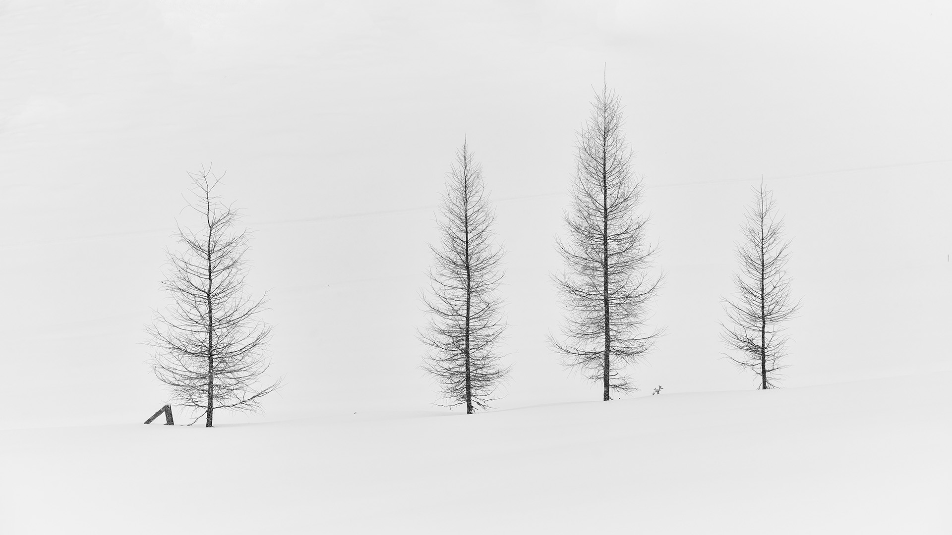 Travel and Landscape Photography 016