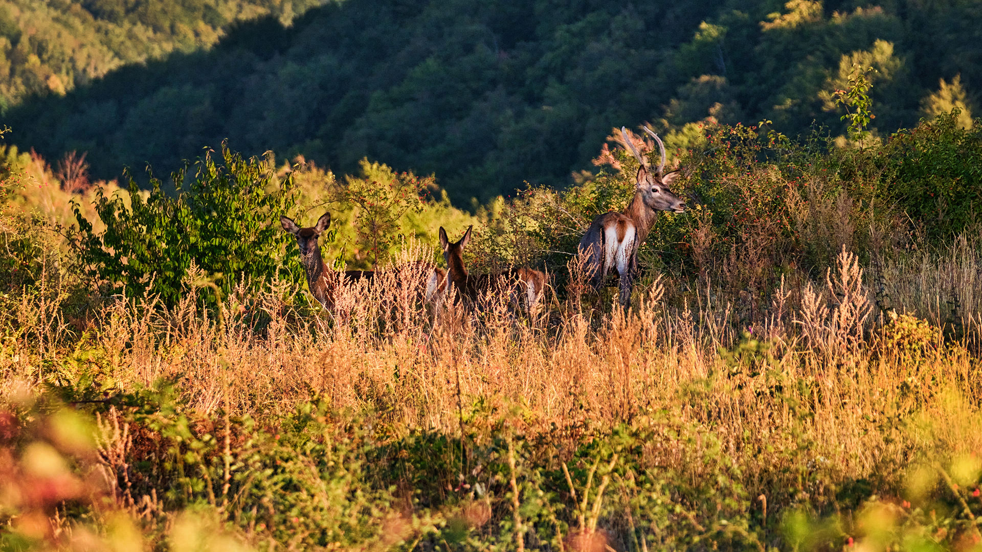 Travel and Landscape Photography 021