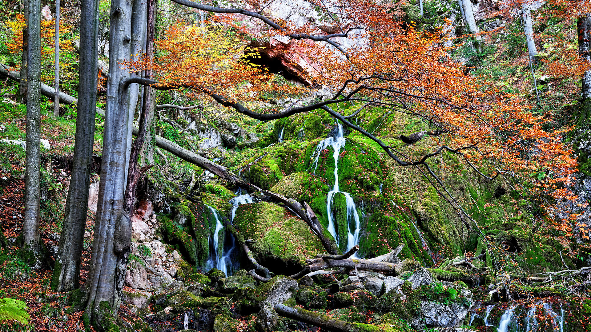 Travel and Landscape Photography 022