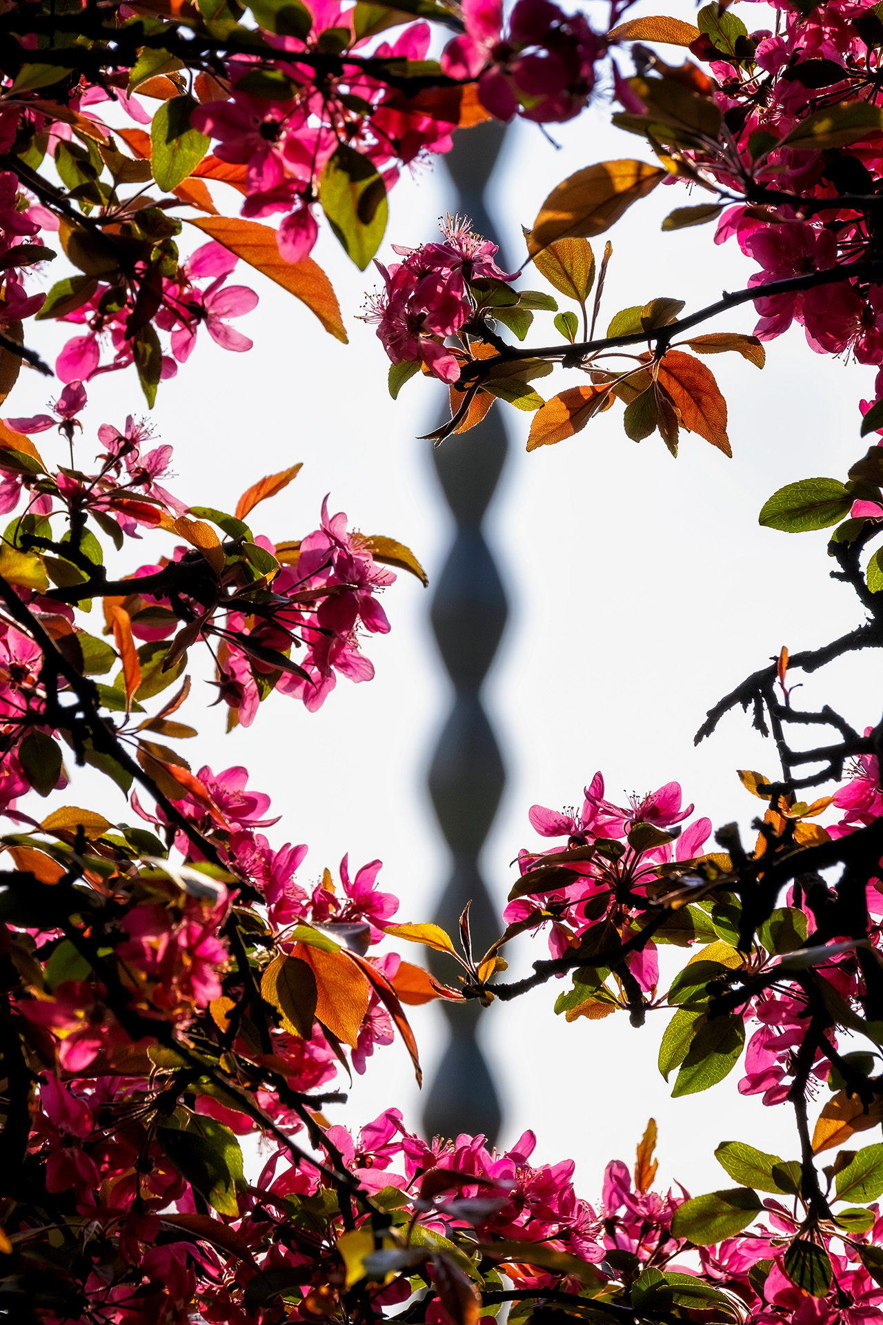 Travel and Landscape Photography 030