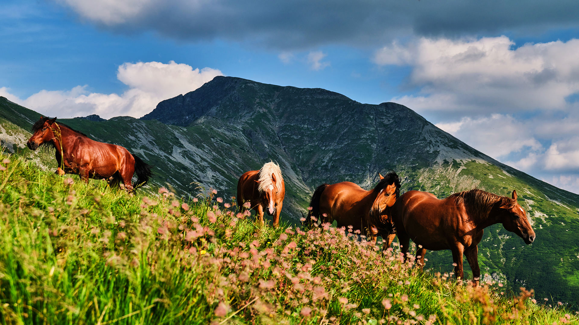 Travel and Landscape Photography 032