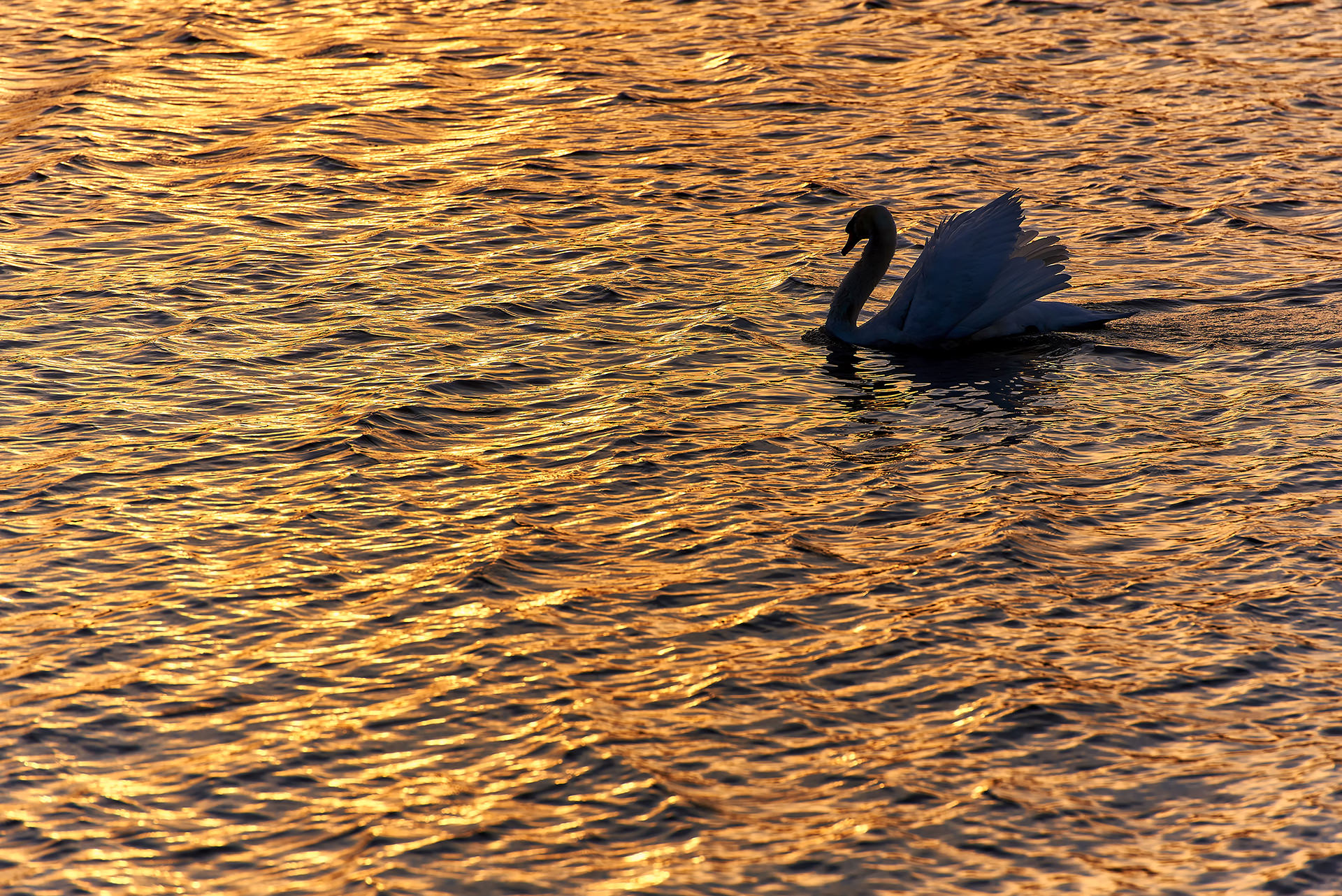 Travel and Landscape Photography 034