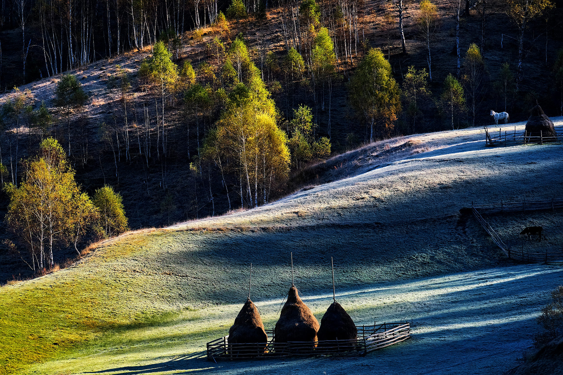 Travel and Landscape Photography 041