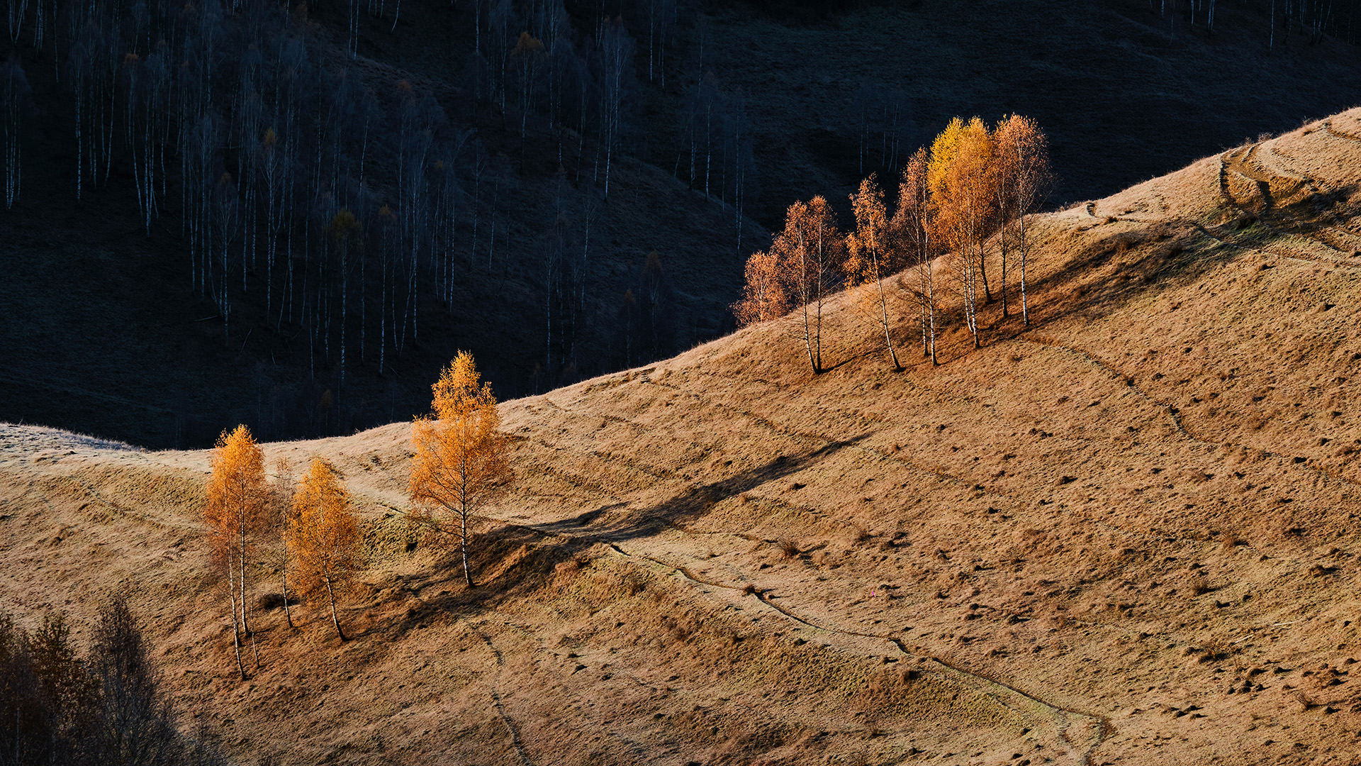 Travel and Landscape Photography 044