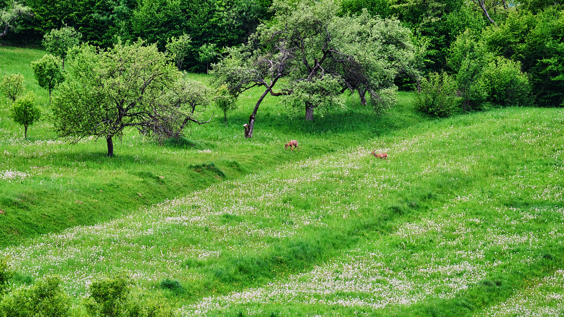 Travel and Landscape Photography 049