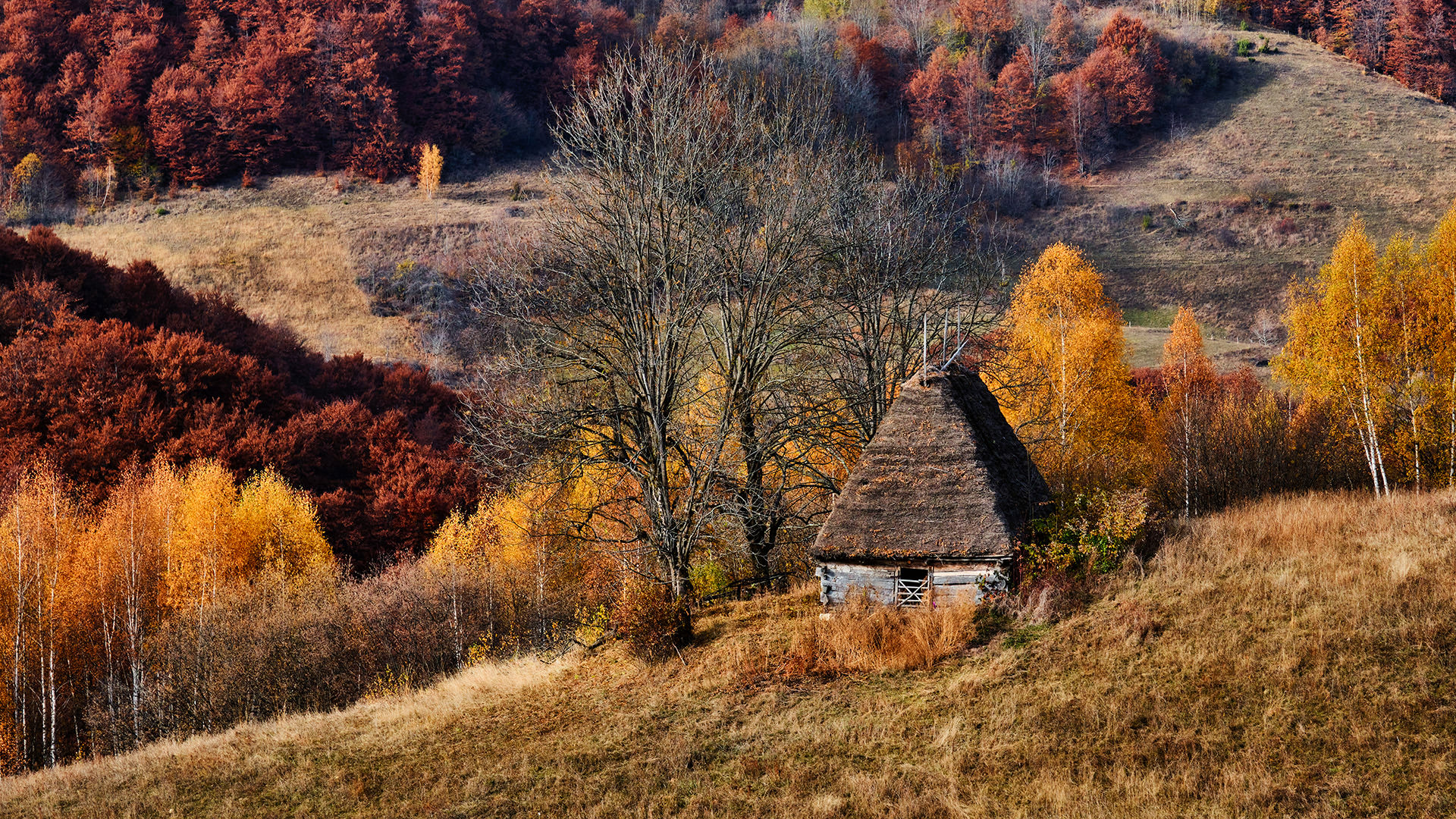 Travel and Landscape Photography 062