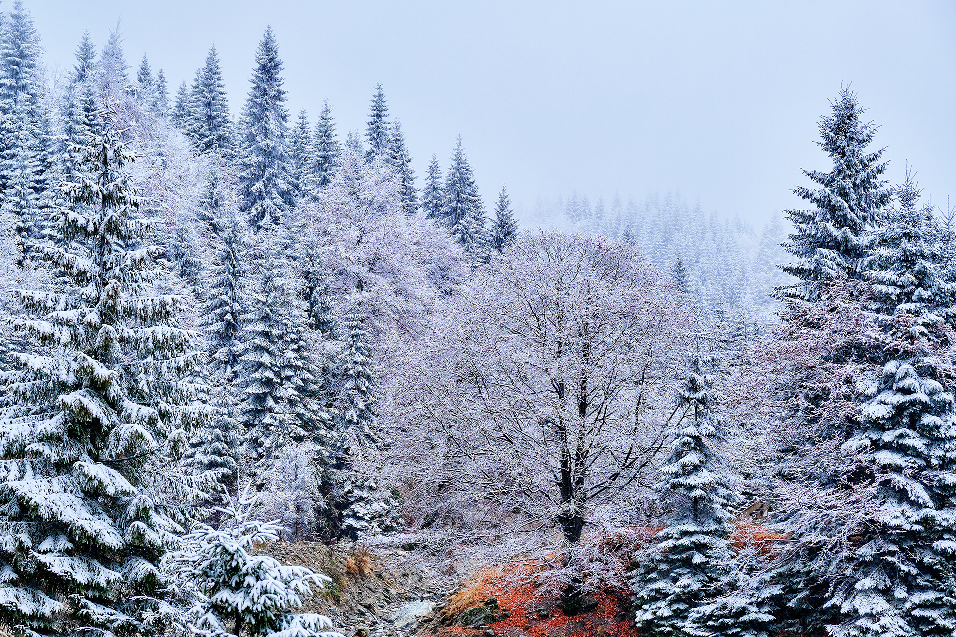 Travel and Landscape Photography 073