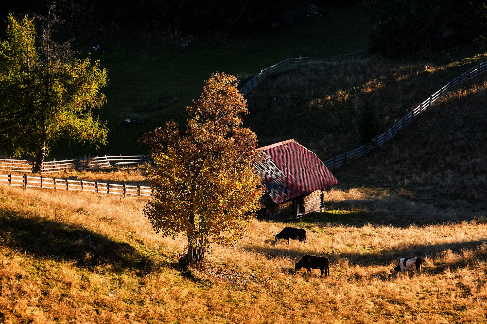 Travel and Landscape Photography 075