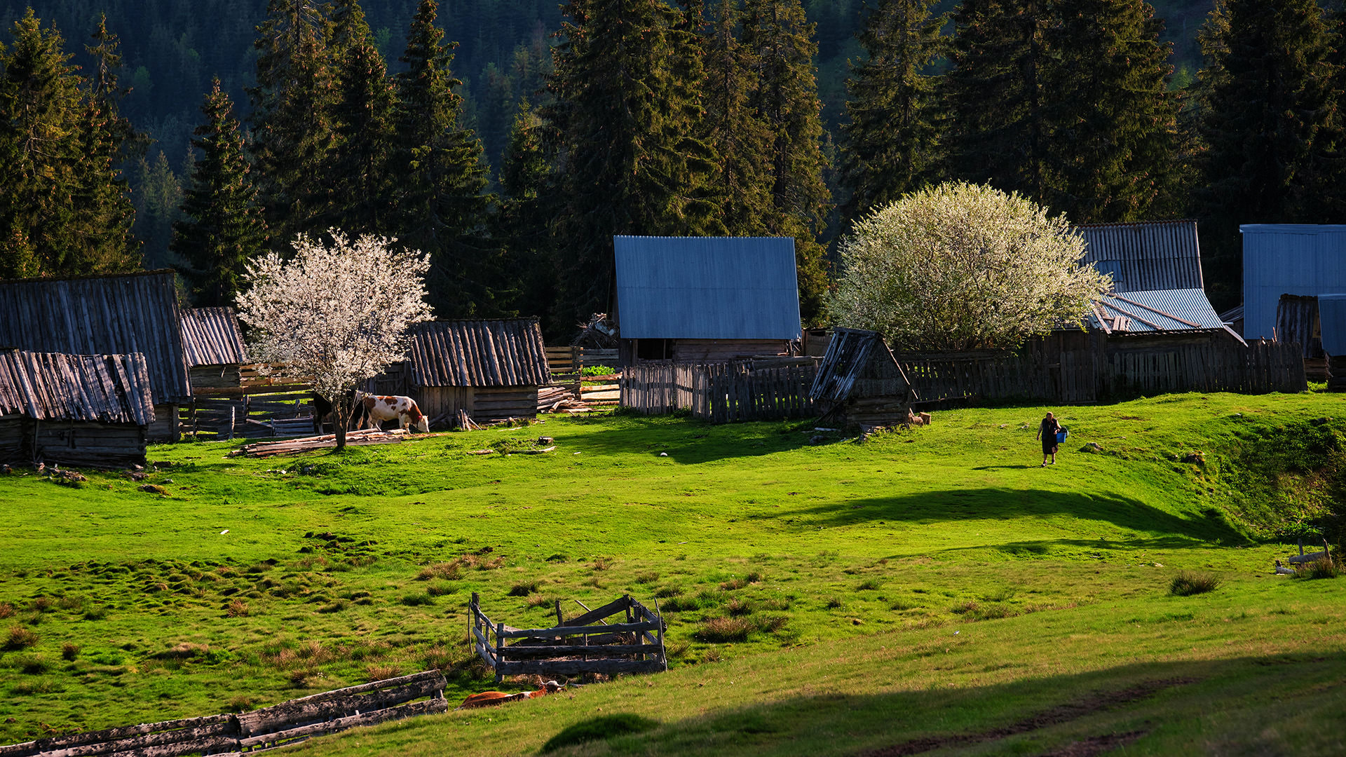 Travel and Landscape Photography 081