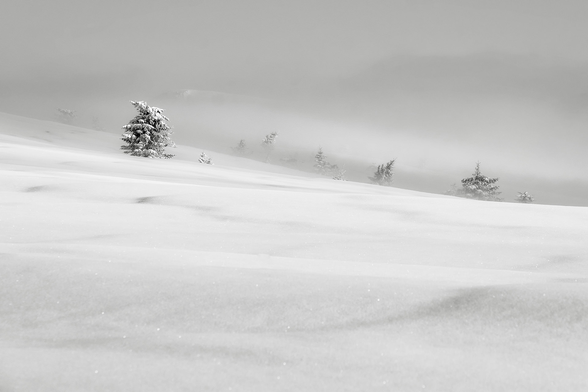 Travel and Landscape Photography 089