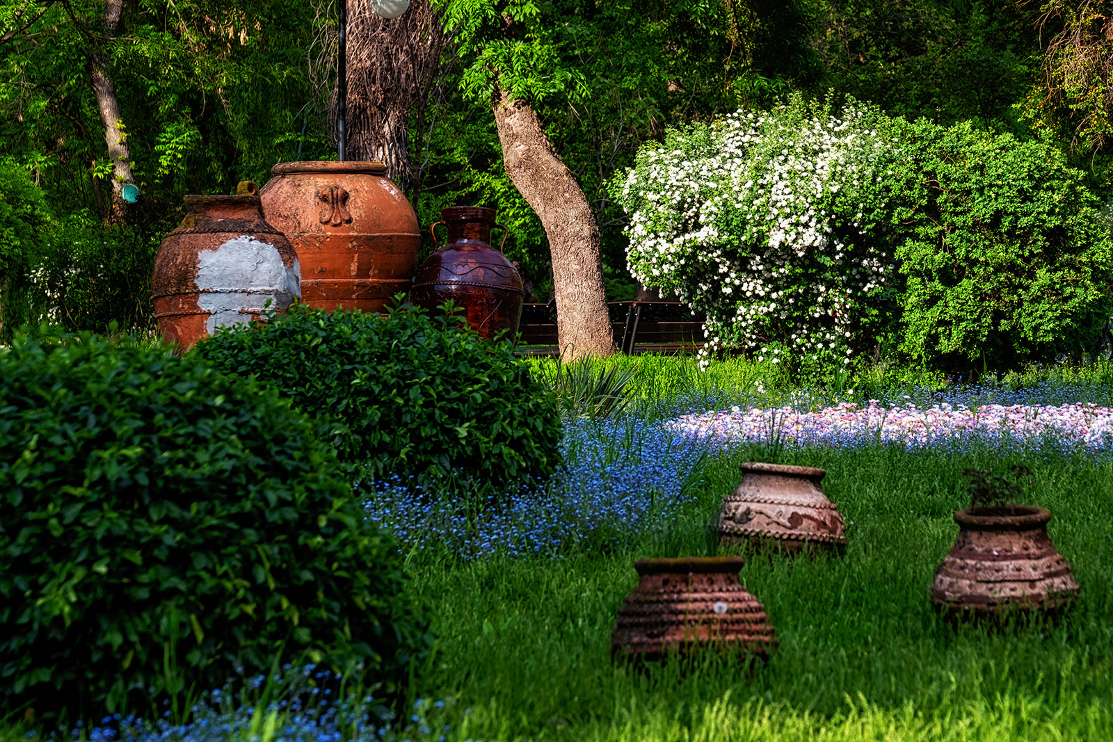 Alte Atractii din Bucuresti - Gradina Cismigiu 2