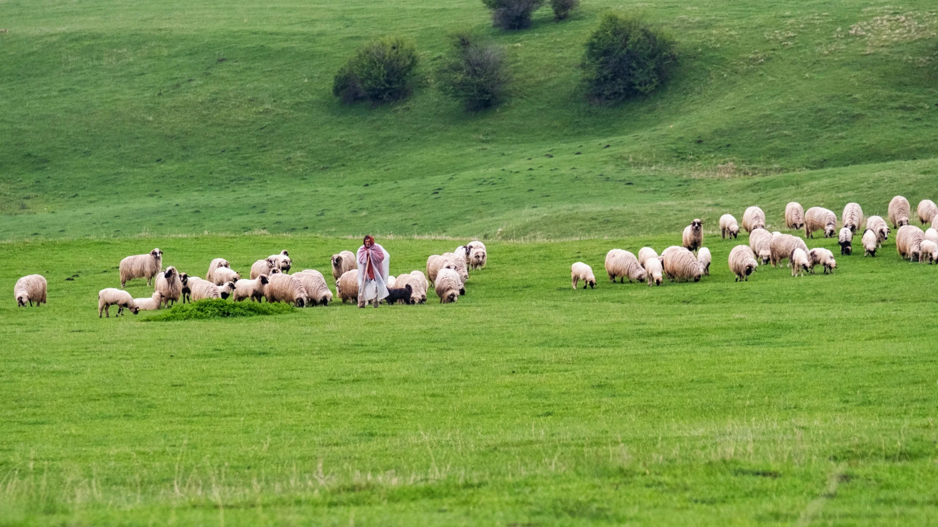 Câmpulung și Ținutul Muscelului - 100 Destinații din România 28 - Ținutul Muscelului