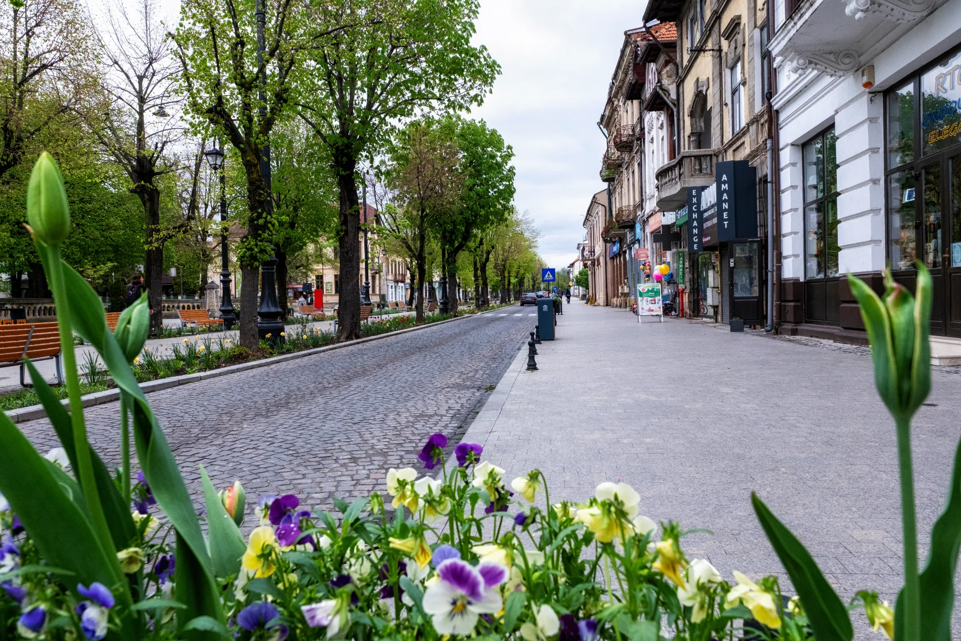Câmpulung și Ținutul Muscelului - 100 Destinații din România 39 - Centrul Istoric Câmpulung