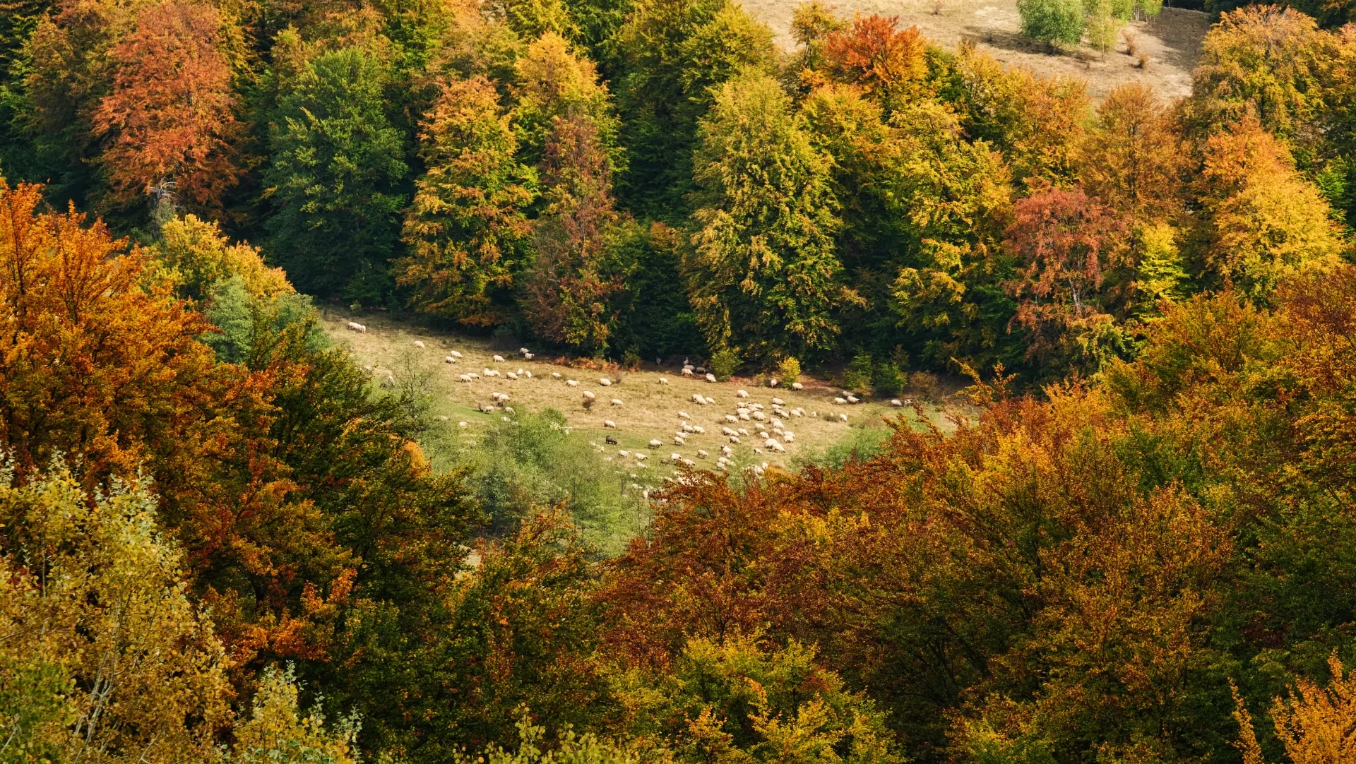 Câmpulung și Ținutul Muscelului - 100 Destinații din România 47 - Ținutul Muscelului