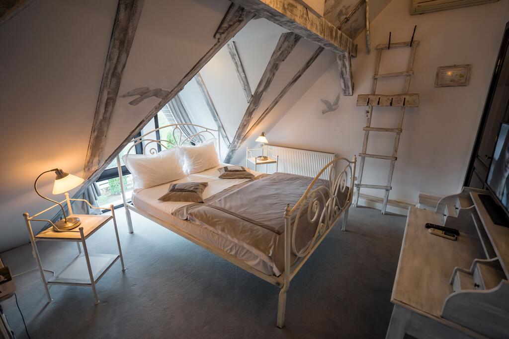 Cazare Unica in Romania - Conacul Archia Deva 3