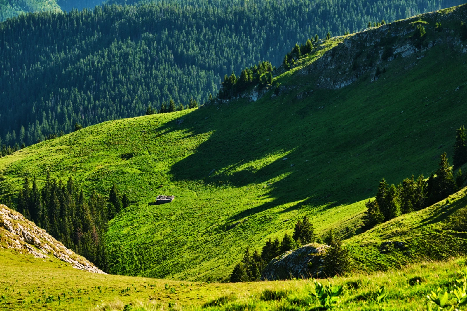 Drumul pe Valea Jietului si Valea Lotrului DN7A - Muntii Latoritei 1