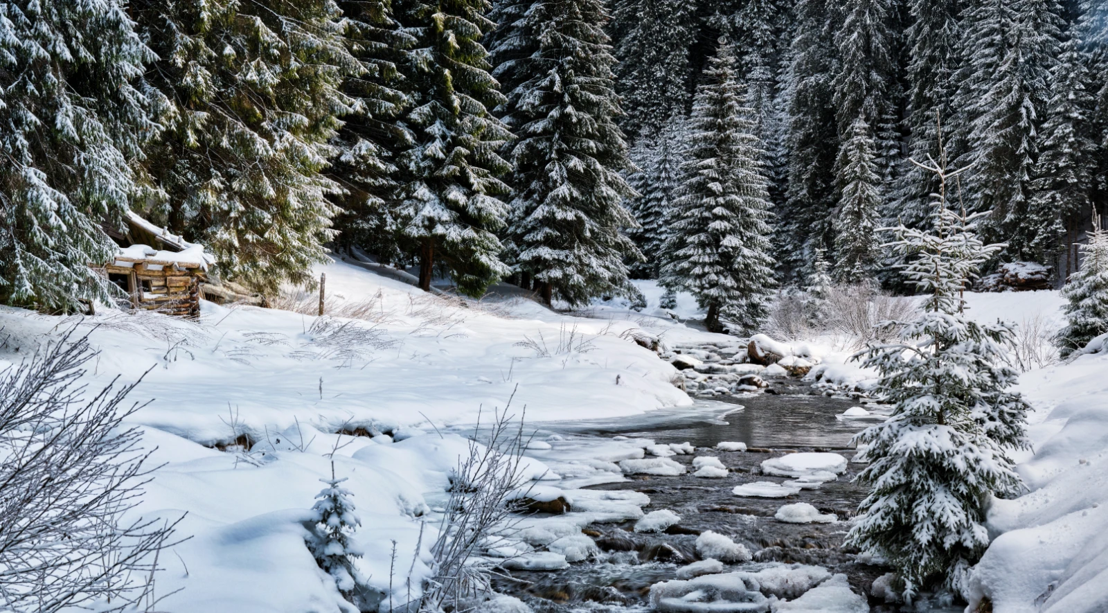 Drumul pe Valea Jietului si Valea Lotrului DN7A - Valea Jietului 2