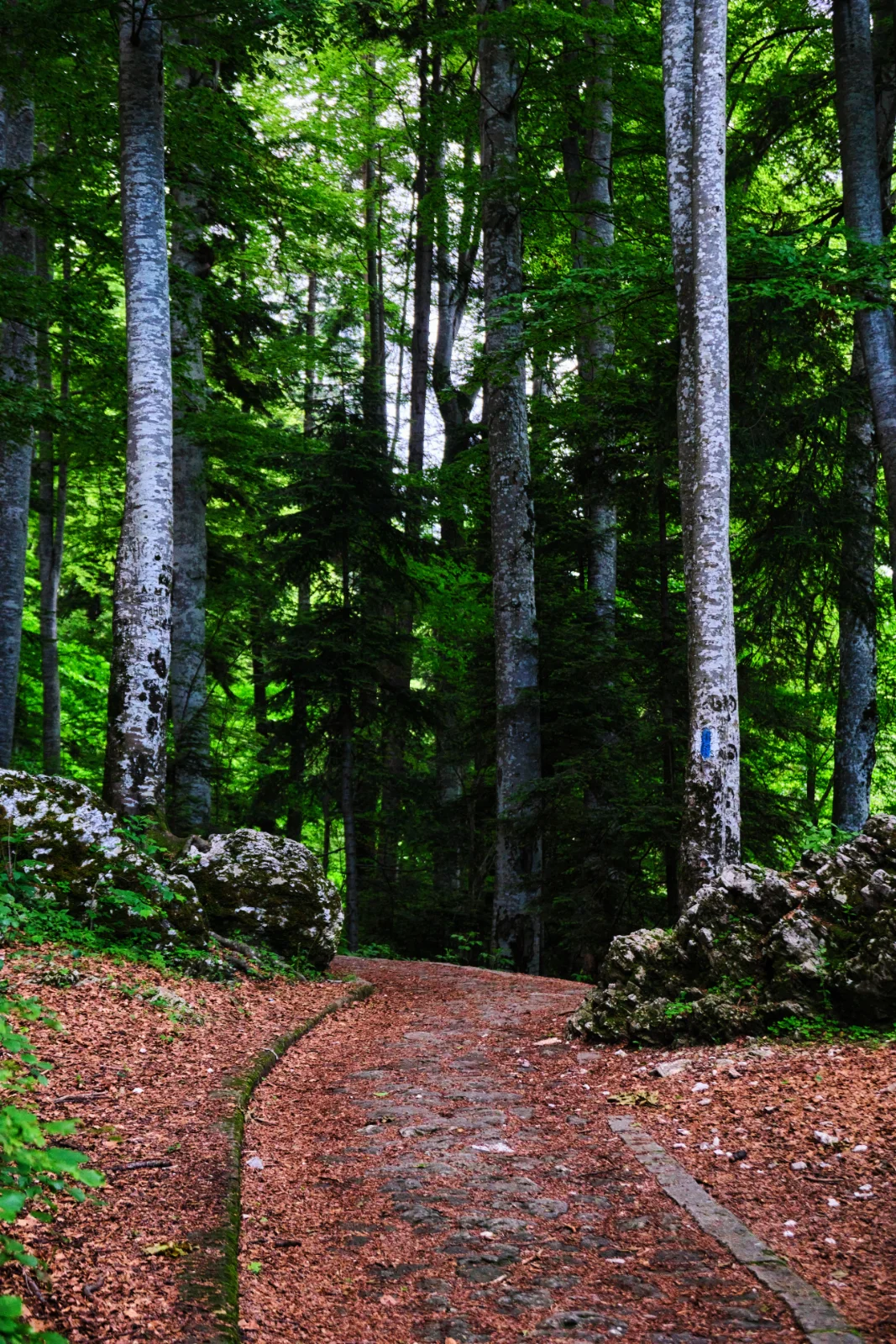 Ghid Turistic Destinatia Valea Prahovei - Poteca Regala Sinaia