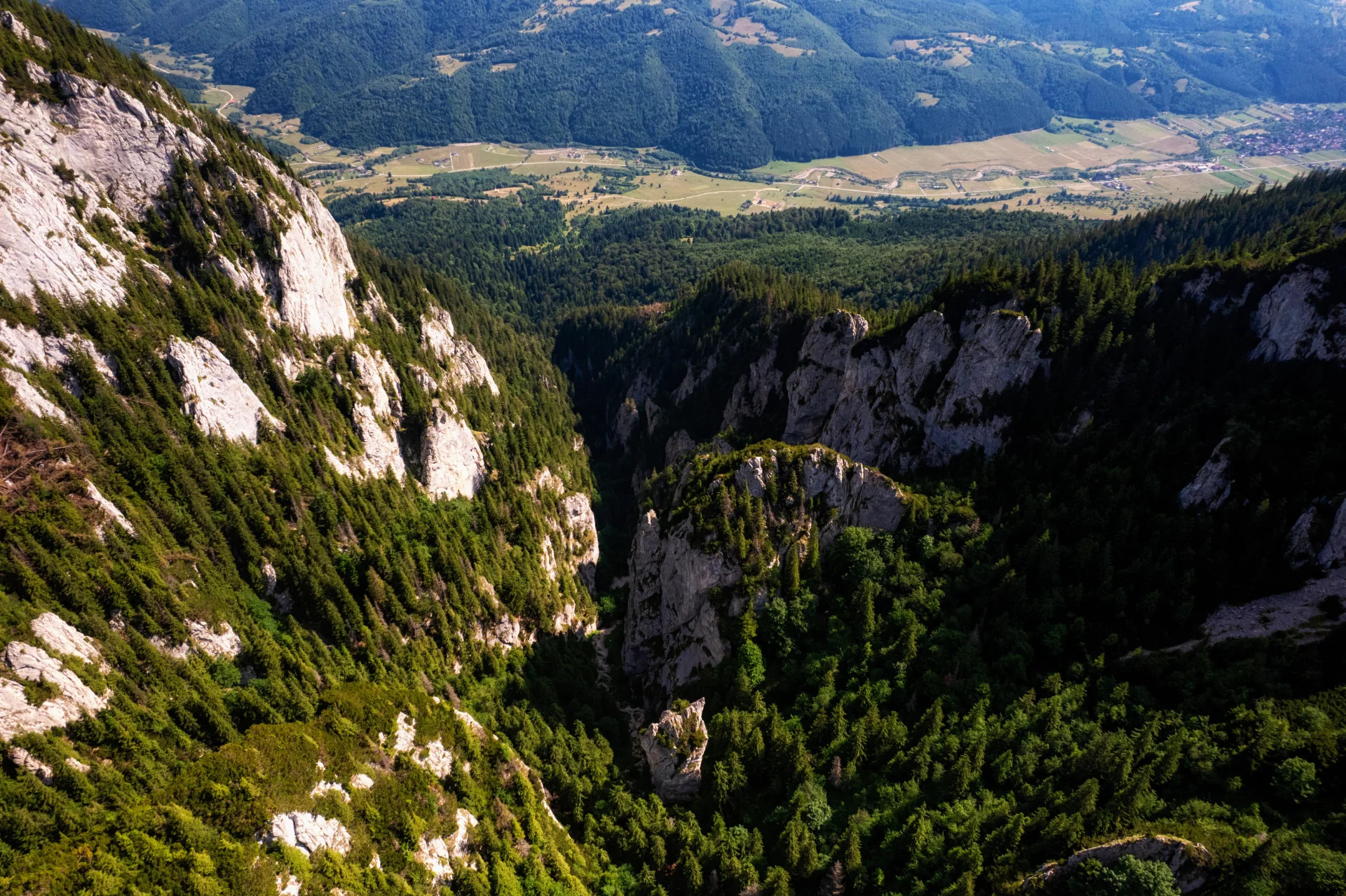 Piatra Craiului Mountains - 100 Destinations of Romania - Crăpăturii Valley