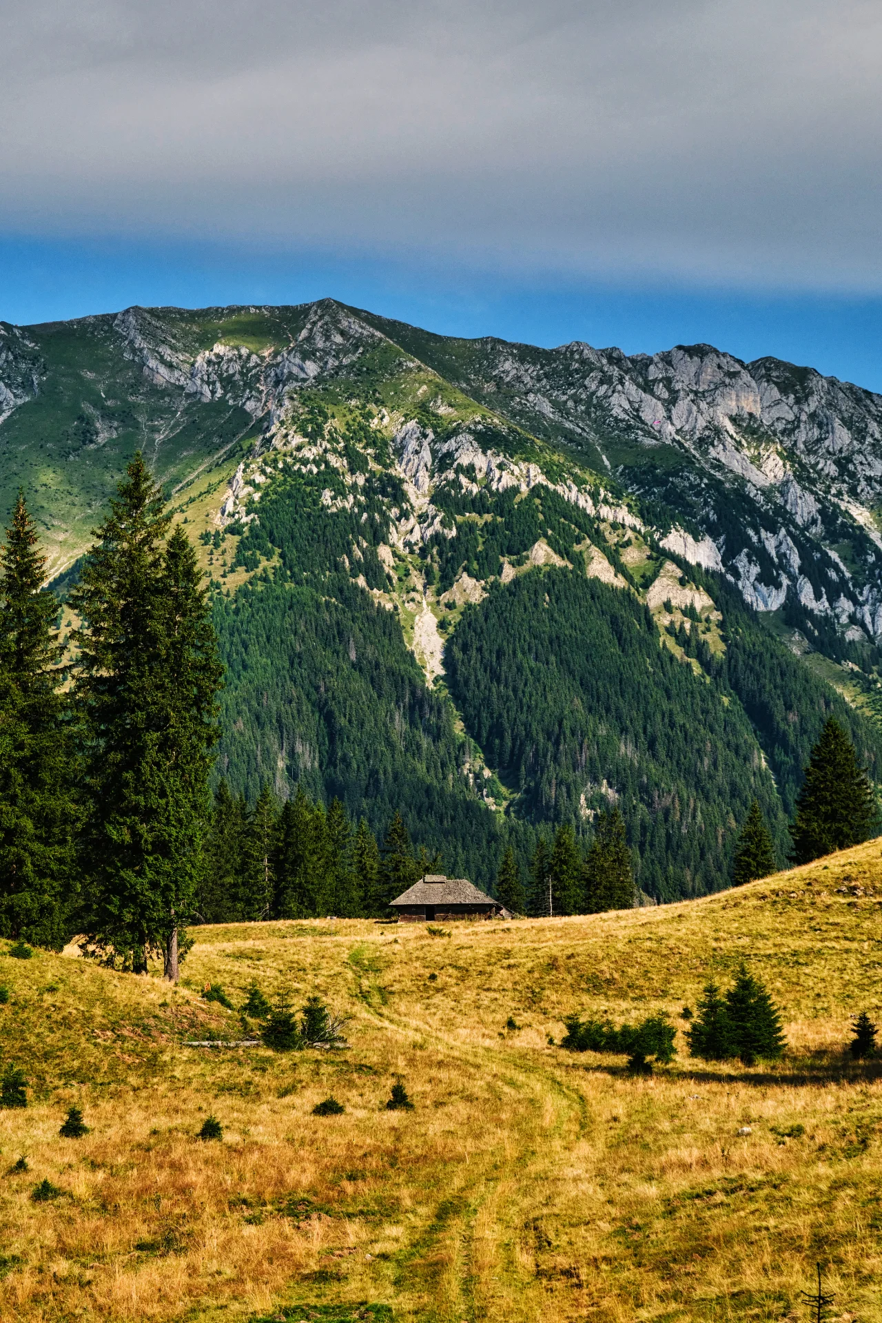 Piatra Craiului Mountains - 100 Destinations of Romania - Joaca Saddle
