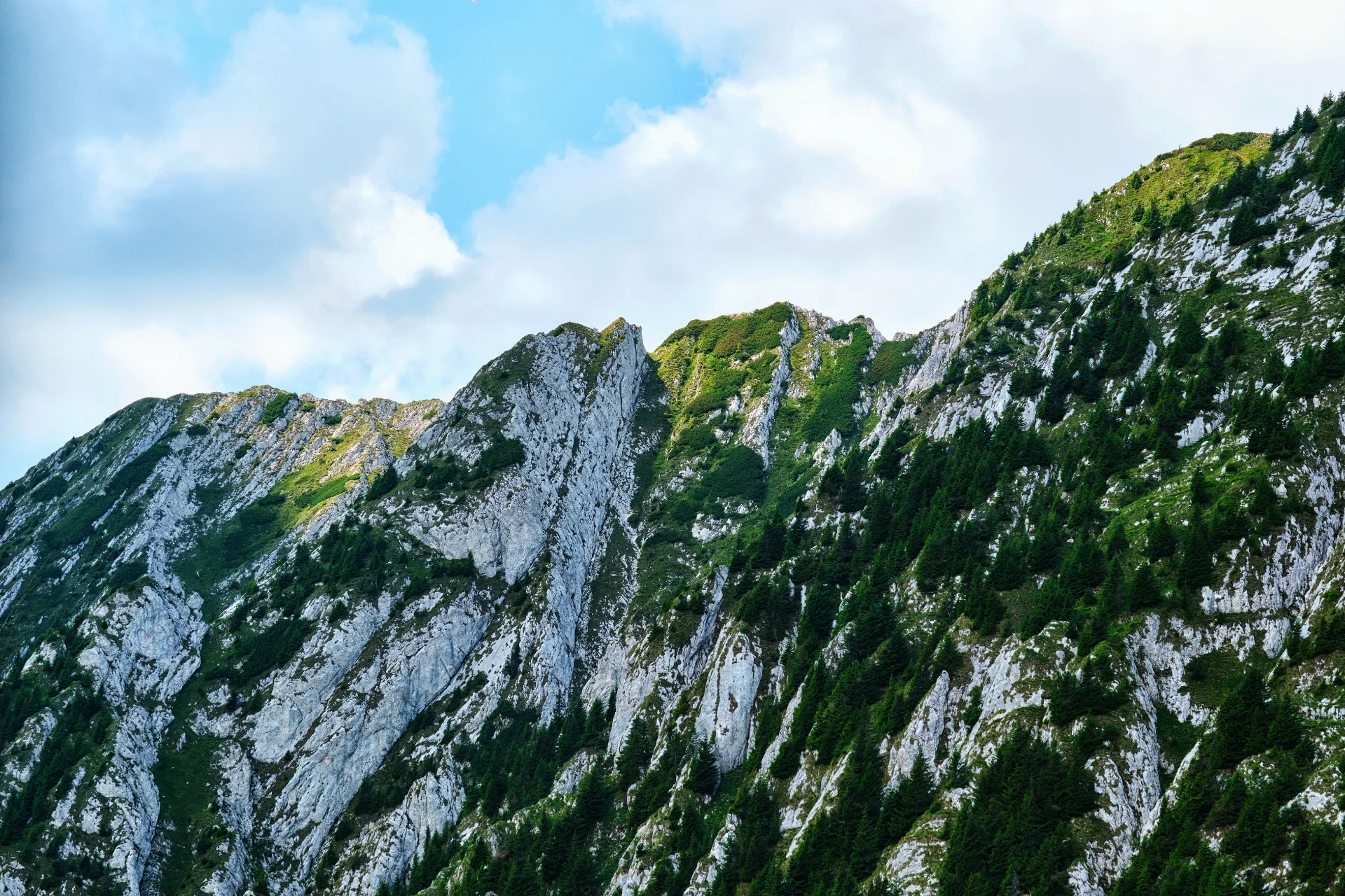 Piatra Craiului Mountains - 100 Destinations of Romania