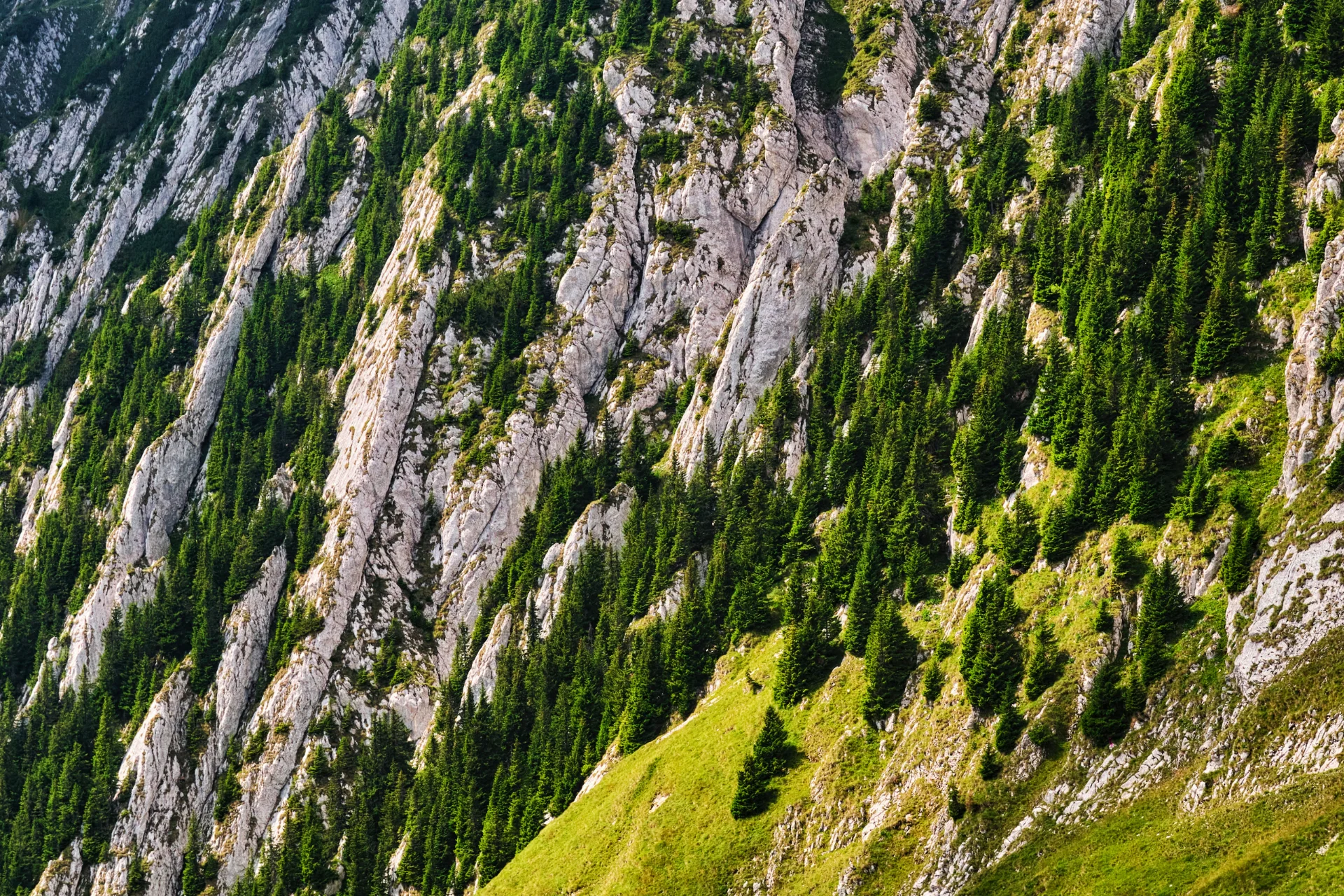 Piatra Craiului Mountains - 100 Destinations of Romania