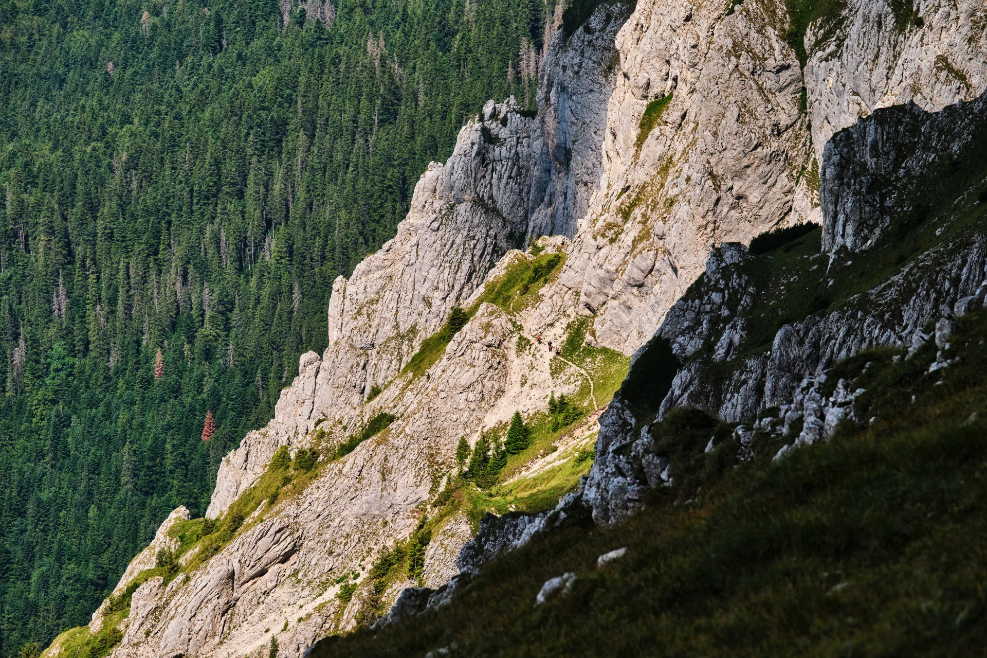 Piatra Craiului Mountains - 100 Destinations of Romania - Hiking Trails