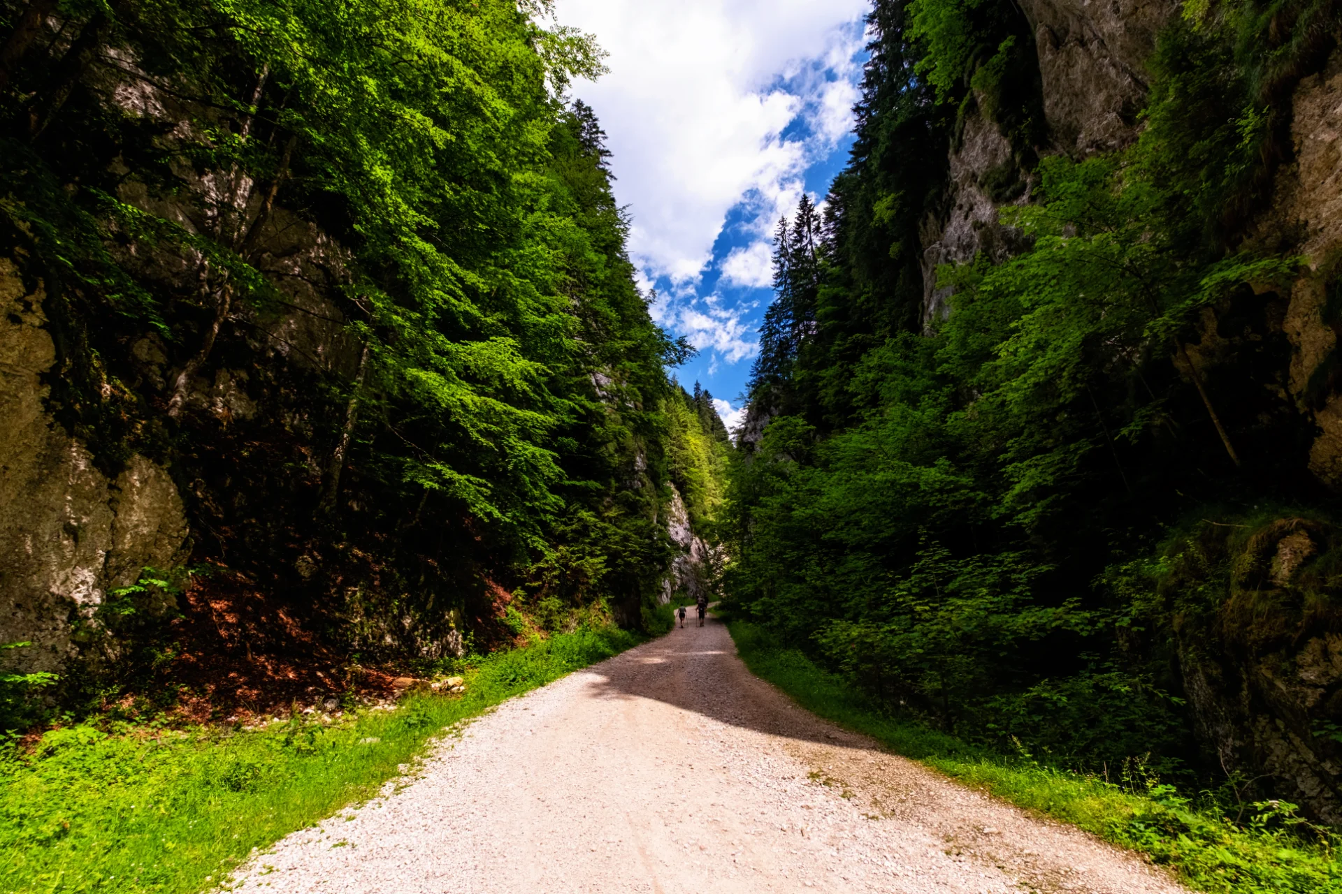Piatra Craiului Mountains - 100 Destinations of Romania - Zărnești Ravines