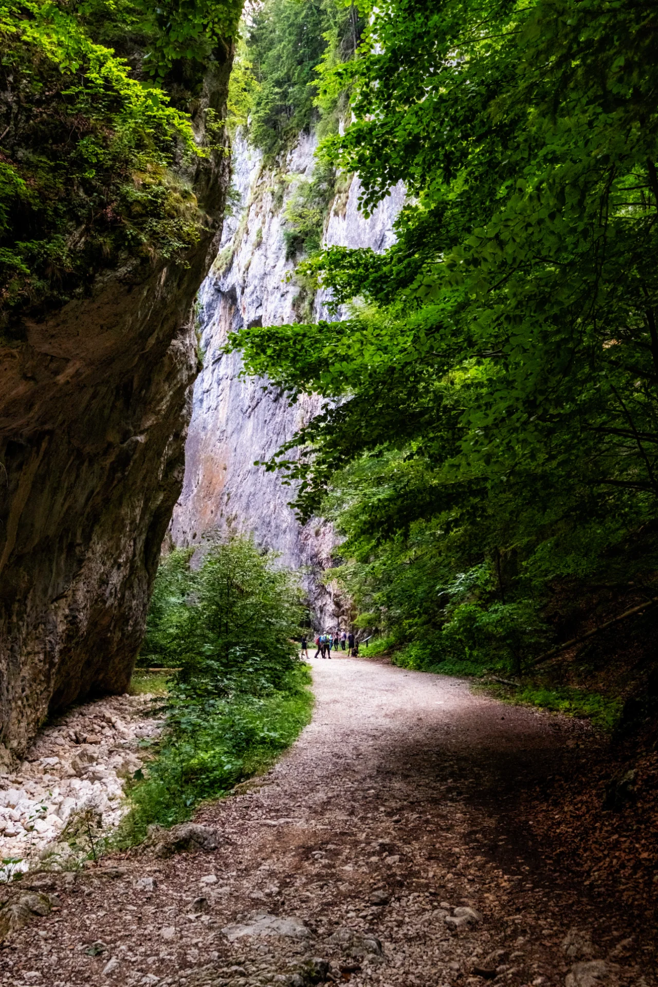 Piatra Craiului Mountains - 100 Destinations of Romania - Zărnești Ravines