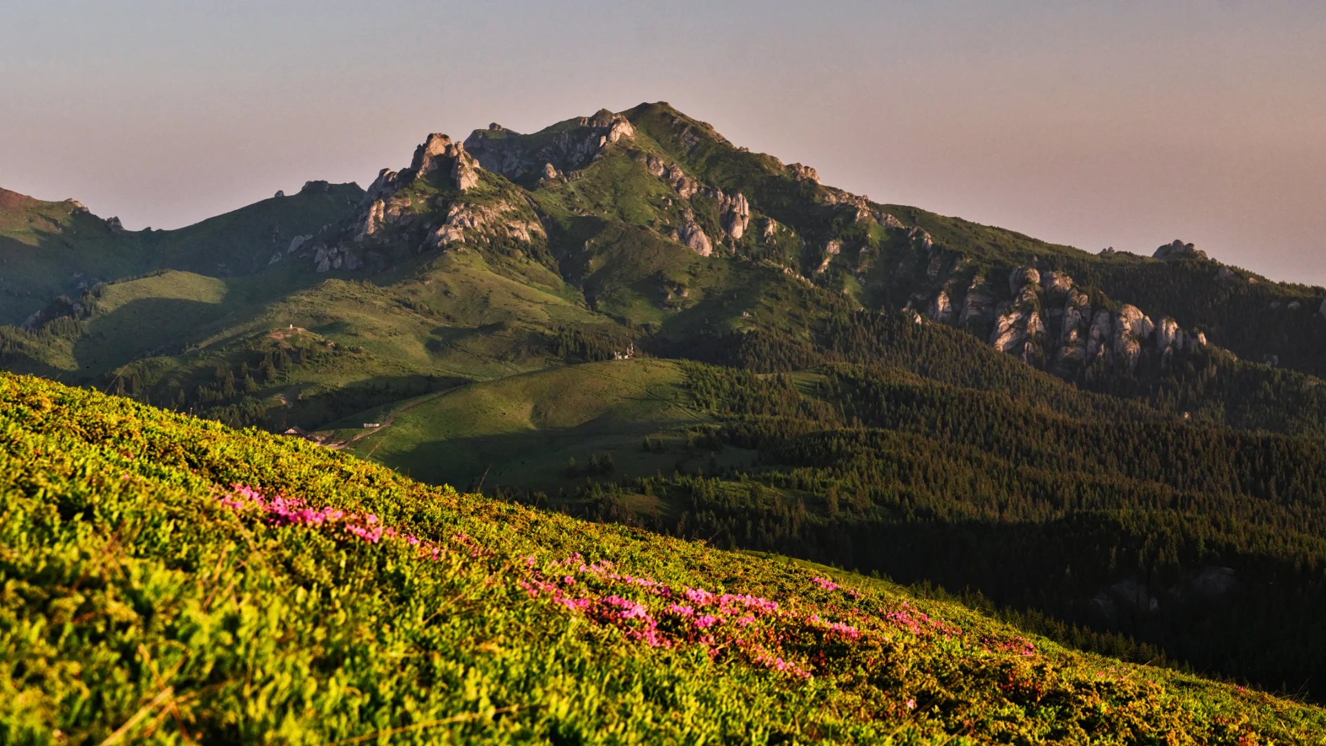 Muntii Ciucaș - Destinatii din Romania - 19