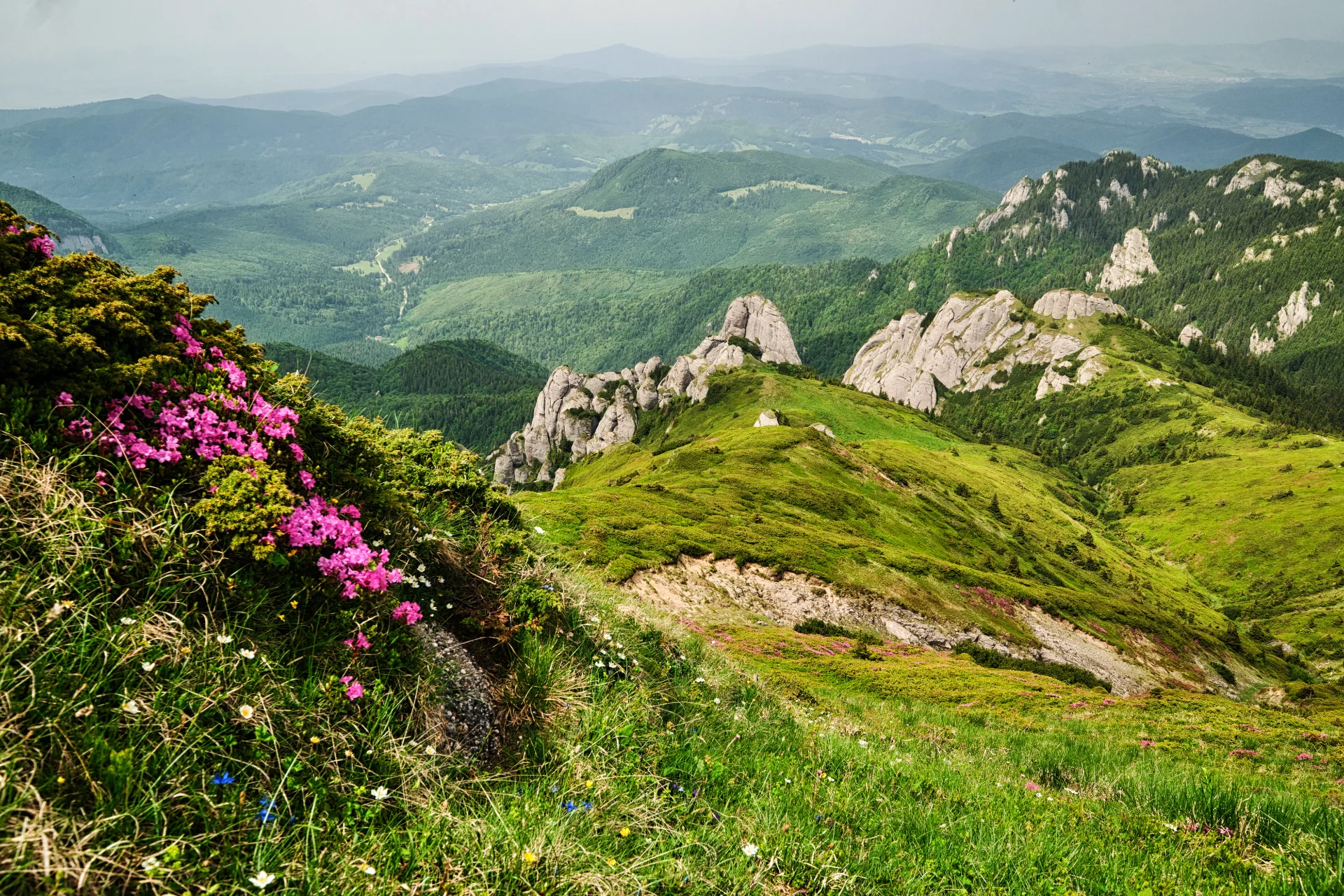 Muntii Ciucaș - Destinatii din Romania - 39