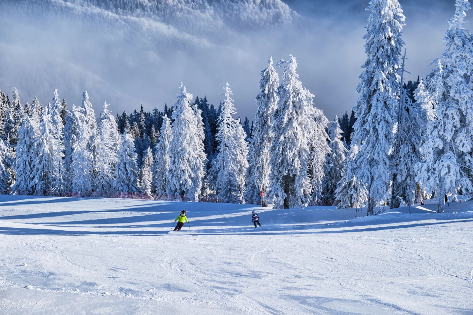 Orasul Brasov - Centrul Vechi Brasov 51 - Poiana Brasov Iarna