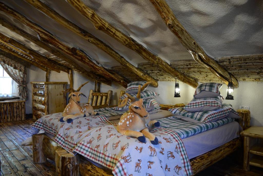 Recomandari Cazare langa Castelul Bran - Club Vila Bran