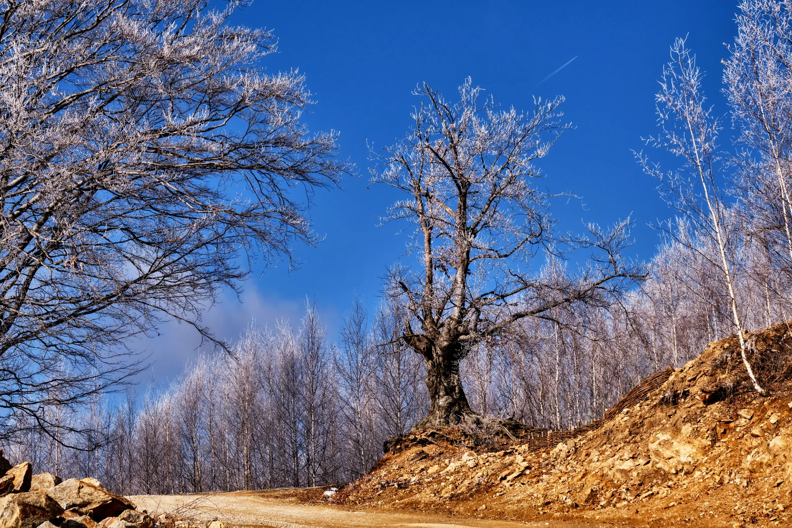 Sapte Atractii mai putin cunoscute din Gorj - Drumul Roman
