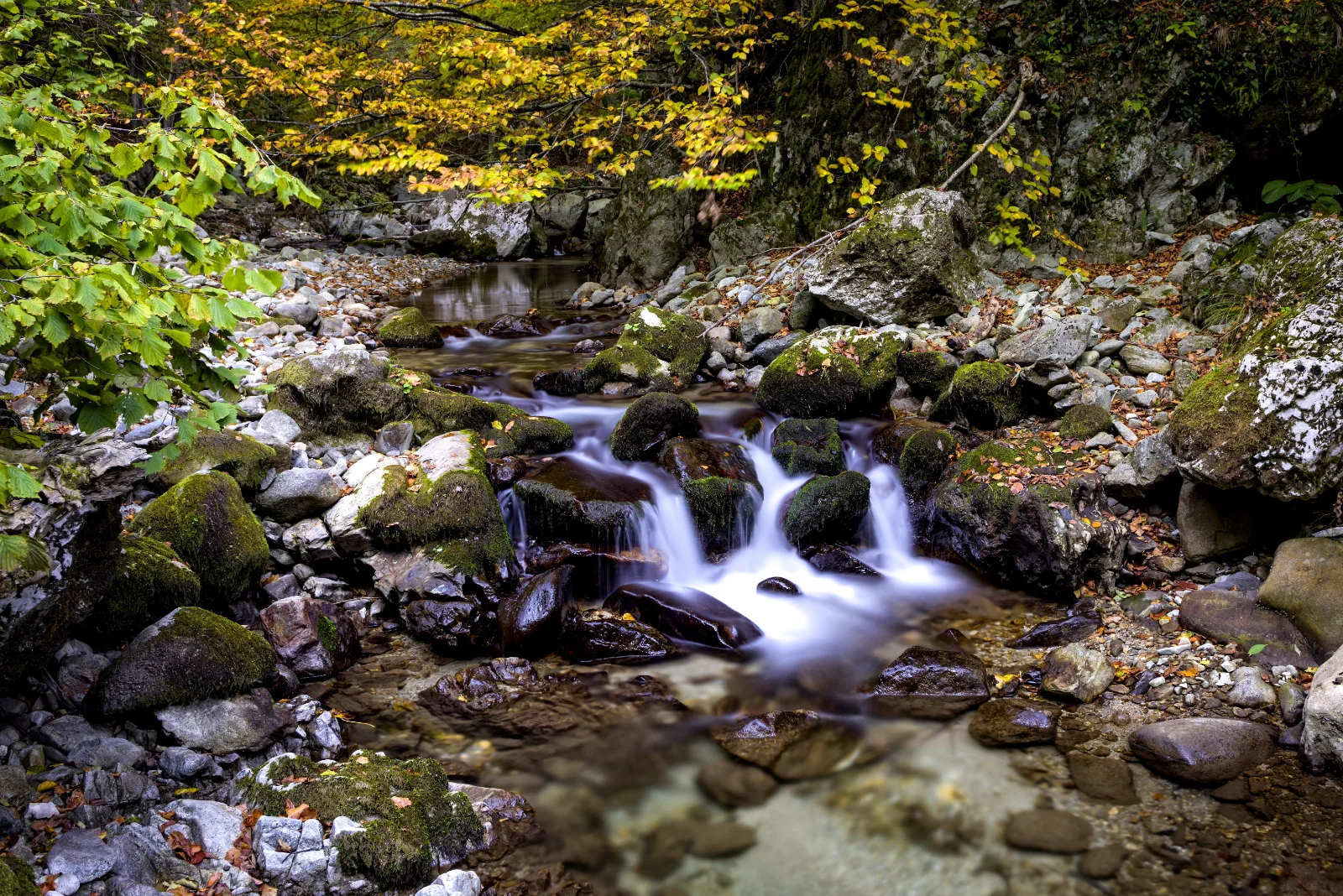 Sapte Atractii mai putin cunoscute din Gorj - Valea Susenilor
