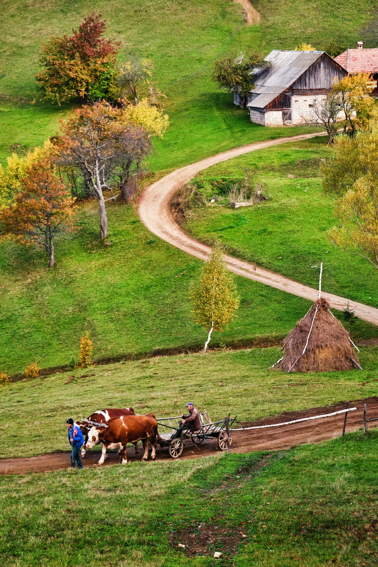 Țara Bârsei - Ghid Turistic Destinatii din Romania 93 - Holbav