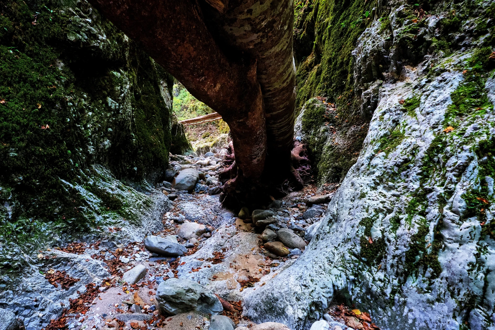 Valea Gropul Sec din Muntii Valcan Gorj 01