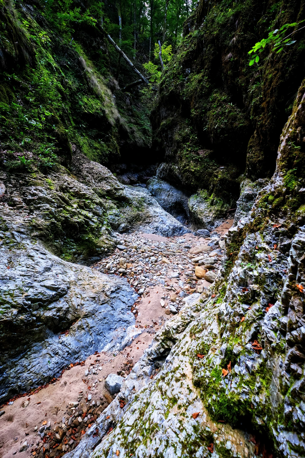 Valea Gropul Sec din Muntii Valcan Gorj 02