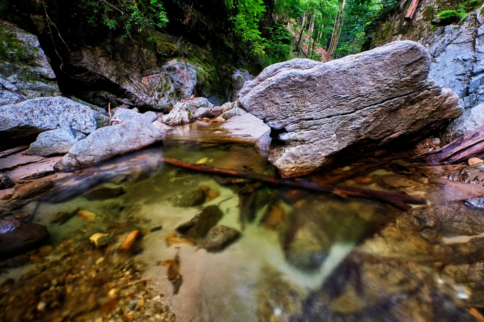 Valea Gropul Sec din Muntii Valcan Gorj 04