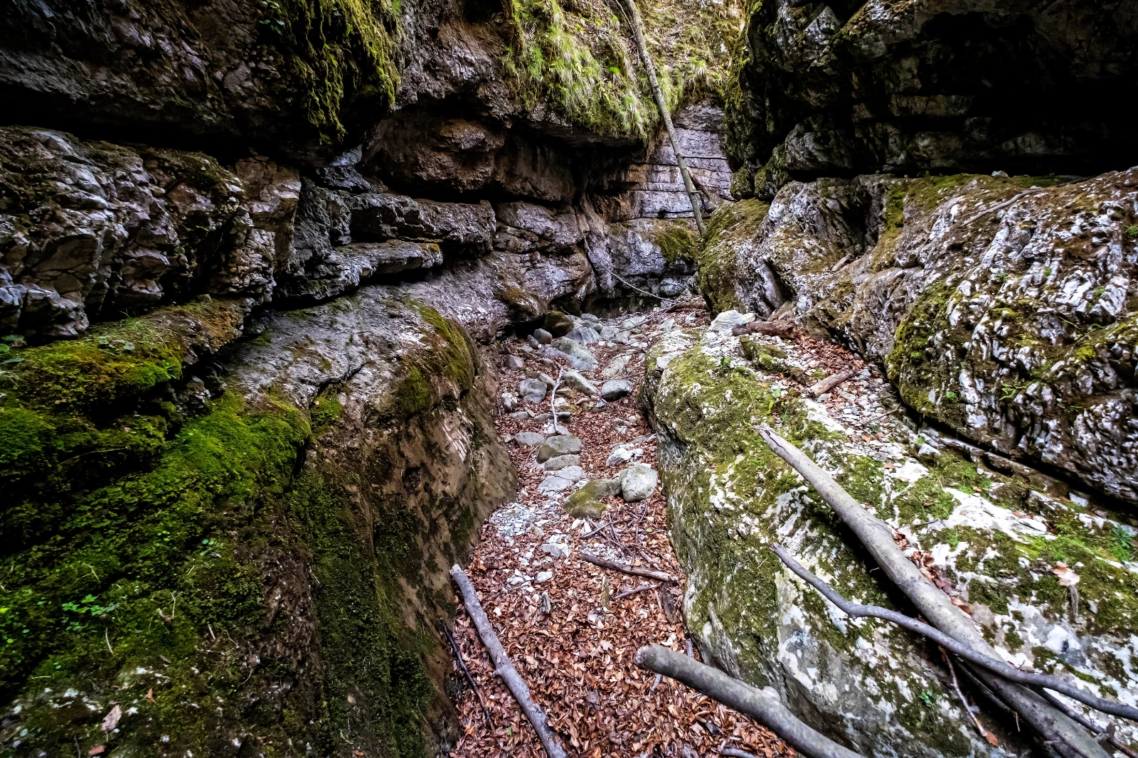 Valea Gropul Sec din Muntii Valcan Gorj 05