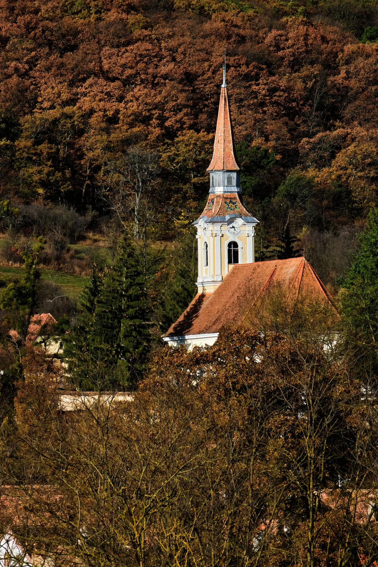 Biserica Fortificată Criț - Colinele Transilvaniei 143
