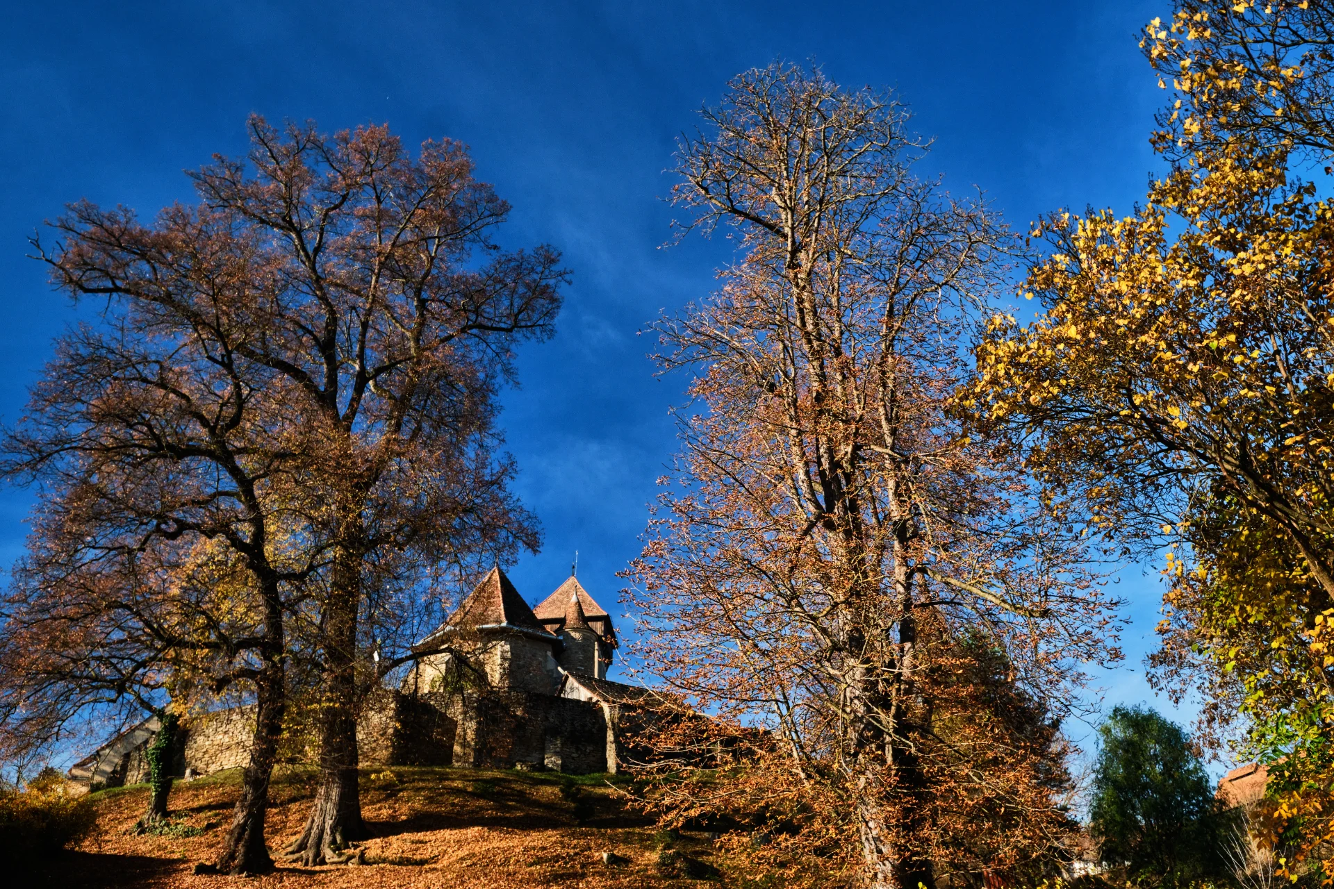 Biserica Fortificată Mălâncrav - Colinele Transilvaniei 111