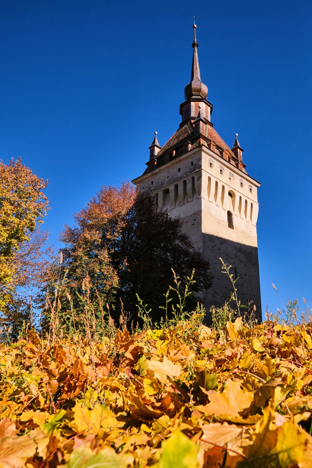 Biserica Fortificată Saschiz - Colinele Transilvaniei 083