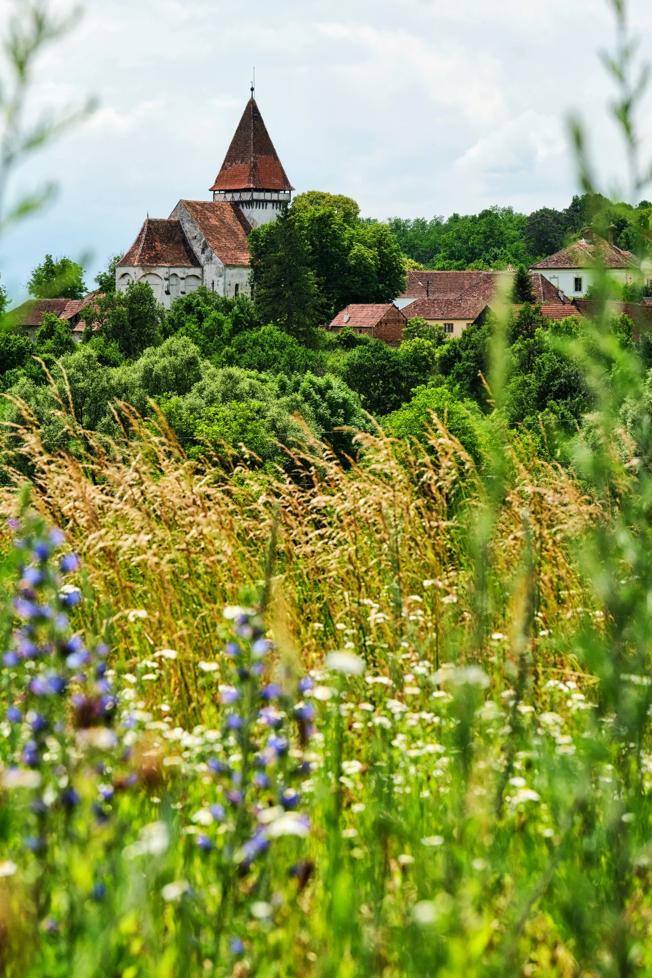Biserica Fortificată Șomartin - Colinele Transilvaniei 063