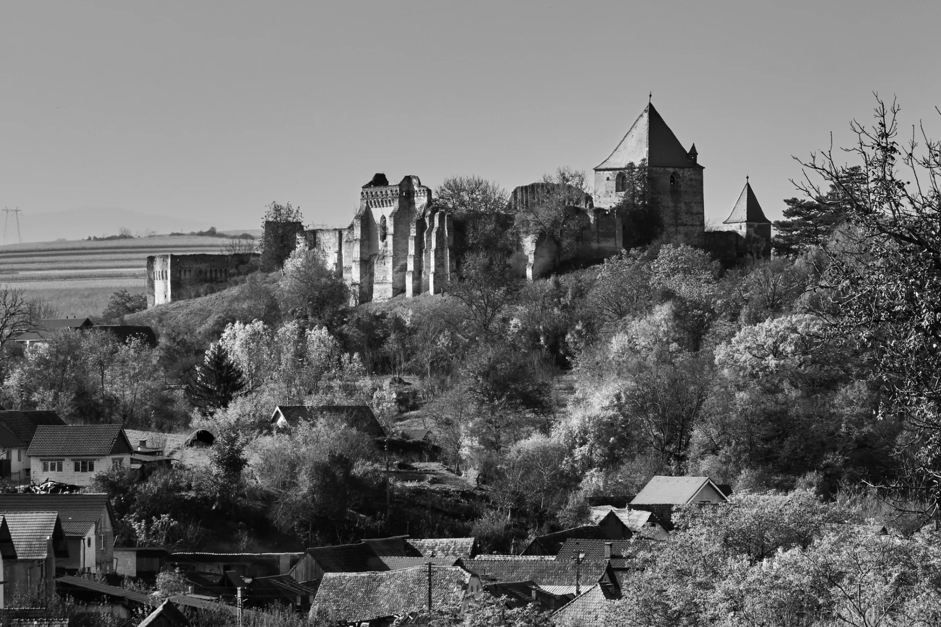 Cetatea Slimnic - Colinele Transilvaniei 136