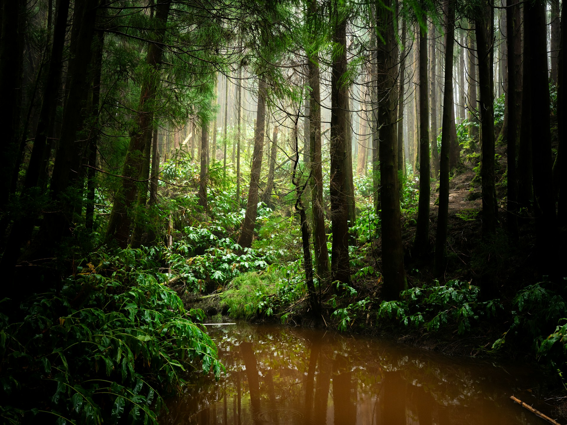 Comori Ascunse din Portugalia - Destinatii Mai Putin Cunoscute din Portugalia - Sao Miguel