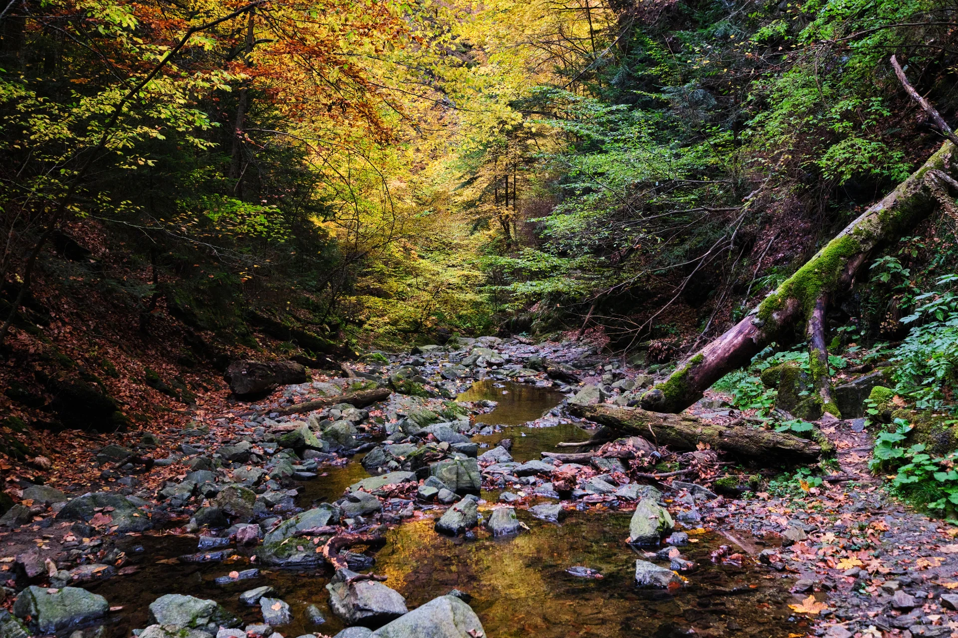 Drumul Transfăgărășan - 100 Destinații din România 49 - Canionul Valea lui Stan